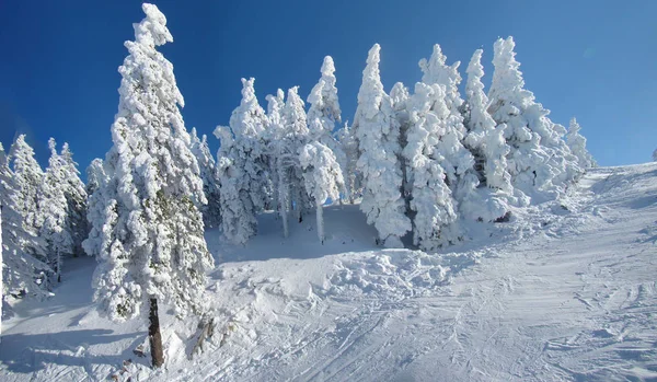 Sunny Winter Day Mountains Full Snow Poiana Brasov Romania Panorama — Stock Photo, Image