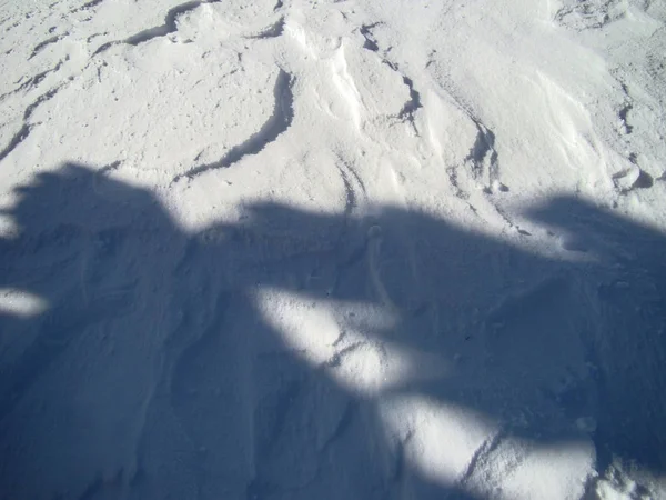 Schöne Schneebedeckte Nadelbäume Sonnigen Tagen Poiana Brasov Rumänien — Stockfoto