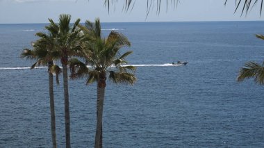 Tenerife, İspanya-Circa 2019: Costa Adeje Tenerife adasına gelen turistler için çok popüler bir şehir, orada birçok turistik ve plaj var..