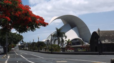 Santa Cruz de Tenerife, İspanya 'nın Kanarya Adaları (İspanyolca: 