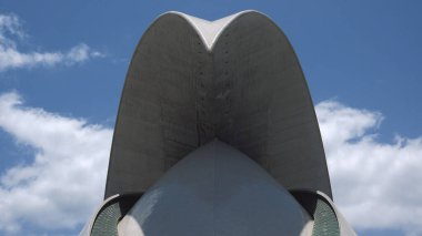 Santa Cruz de Tenerife, İspanya 'nın Kanarya Adaları (İspanyolca: 