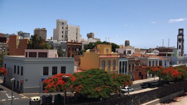 Santa Cruz de Tenerife, İspanya 'nın Kanarya Adaları (İspanyolca: 