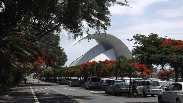 Santa Cruz Tenerife Islas Canarias España Circa 2019 Zona Urbana — Foto de Stock