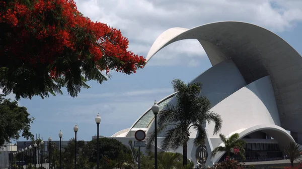 Santa Cruz Tenerife Kanarieöarna Spanien 2019 Den Urbana Zonen Santa — Stockfoto