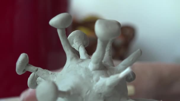 粘土中的珊瑚形体建模 — 图库视频影像