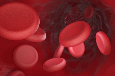 Red blood cells in vein clipart