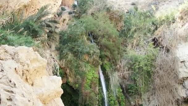 Vattenfallet "ein gedi" nära döda havet — Stockvideo