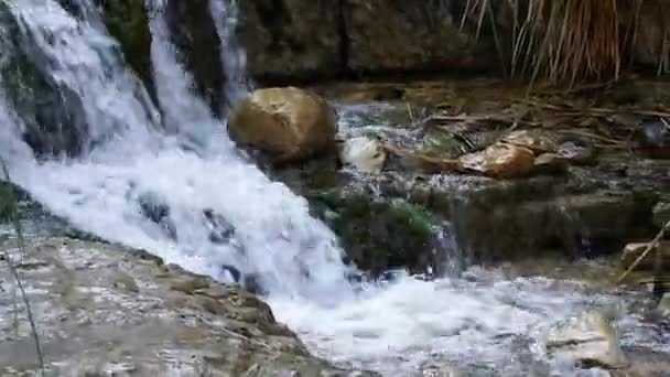 Vattenfallet "ein gedi" nära döda havet — Stockvideo