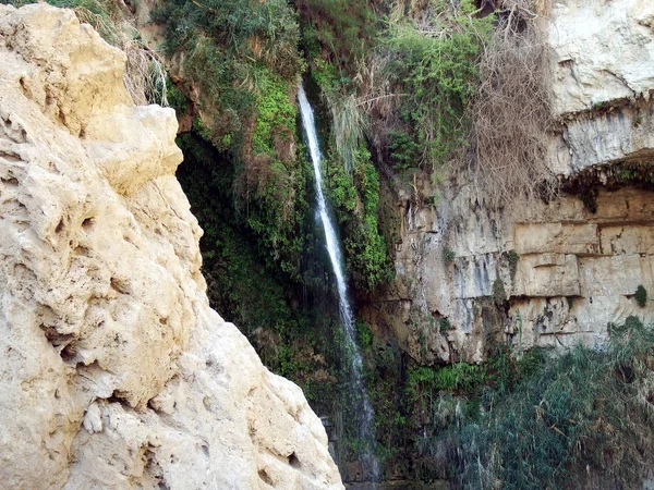 In the vicinity of the Dead Sea — Stock Photo, Image