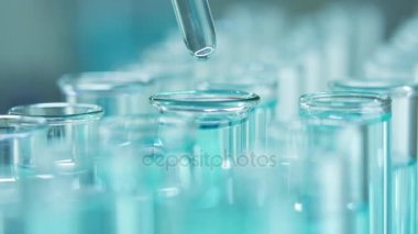 Bir laboratuarda, pipetli bir bilim adamı test tüplerindeki DNA ve molekülleri ayırmak için mavi bir sıvıyı analiz eder. Sıvıyla çalışan doktor..