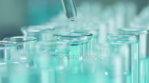 実験室では ピペットを持った科学者が青色の液体を分析し 試験管内のDnaと分子を抽出します 液体を扱う医者 — ストック動画
