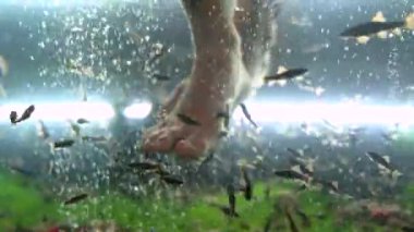 Garra Rufa balık ayağı bakımı, doğal kabuk soyma ve masaj. Bu süreçte, yenilenmeyi teşvik eden ve deri esnekliğini artıran özel enzimler salgılarlar. Balıklar sadece zarar görmüş deri bölgelerini seçer..