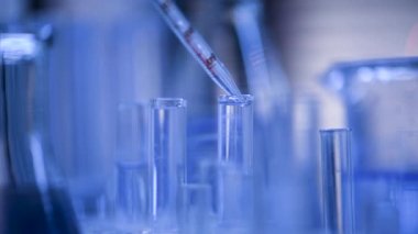 Bir laboratuarda, pipetli bir bilim adamı test tüplerindeki DNA ve molekülleri ayırmak için mavi bir sıvıyı analiz eder. Sıvıyla çalışan doktor..