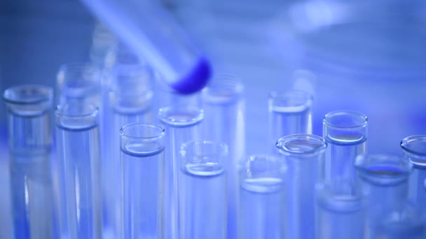 Laboratorio Científico Con Una Pipeta Analiza Líquido Azul Para Extraer — Vídeo de stock