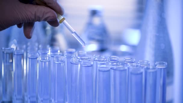 Laboratorium Naukowiec Pipetą Analizuje Niebieski Płyn Celu Pobrania Dna Cząsteczek — Wideo stockowe