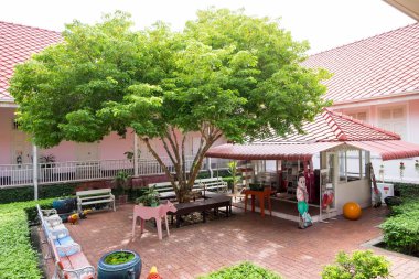Lignum Vitae tree or Ton Kaew Chao Jom in Thai in middle of garden, can rest under tree for cool nice breeze. clipart