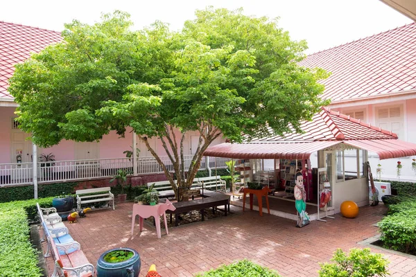 Lignum Vitae tree or Ton Kaew Chao Jom in Thai in middle of garden, can rest under tree for cool nice breeze. Stock Image