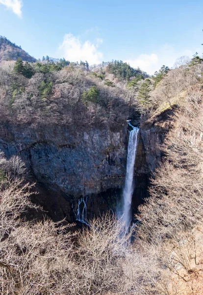 Kegon falls sırasında kış orman, Nikko Milli Parkı, Japonya.