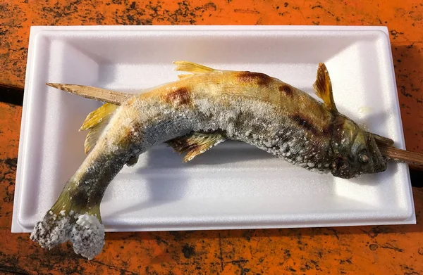 아 유 생선 구운된 소금 꼬치 chacoal 거품 접시에 일본식에서 구이 되 고. — 스톡 사진