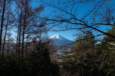 Fuji Dağı merdivenden Chureito tapınağına kadar manzaralı. Fuji Dağı 'nda seçici odak.