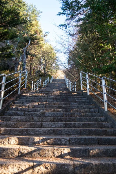 Merdiven hele bir Chureito Tapınağı, Kawaguchi, Japonya.