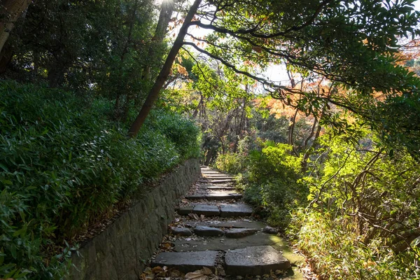 Walkpath ve taş merdiven Bahçe Tokyo Üniversitesi'nde.