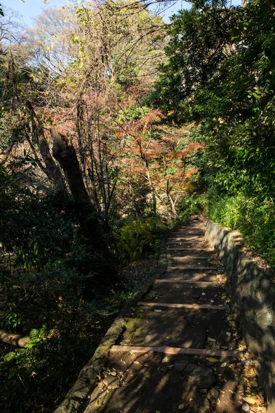 Walkpath ve taş merdiven Bahçe Tokyo Üniversitesi'nde.