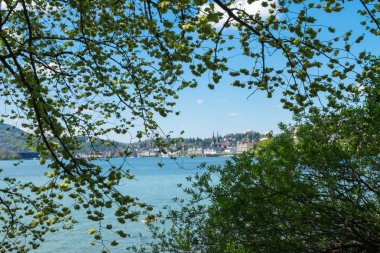 Kilise St. Leodegar çerçevesinde ağaçlar yaprak ve dal göl Luzern, İsviçre.