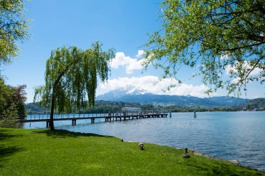 Bağlantı noktası olan dağ arka plan olarak Luzern Parkı, feribot.