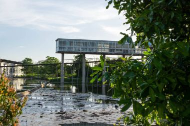 12 Haziran 2017 - Ratchaburi, Tayland: Dışında Octospider restoranı Pasaya fabrika çıkış içinde yer alır. Eşsiz ve olağanüstü tasarım.