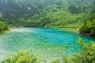 Peacock lake, one of the largest lake in Jiuzhaigou national park. Shape of lake, when view from above, will look like a peacock. clipart