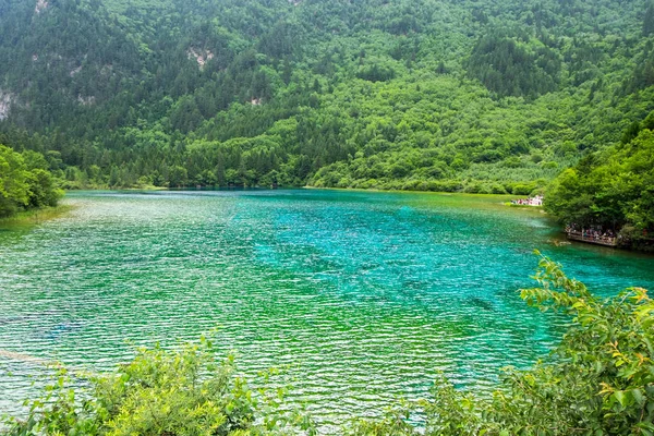 Páv jezero, jeden z největšího jezera v národním parku Jiuzhaigou. Tvar jezera, kdy zobrazit shora, bude vypadat jako páv. — Stock fotografie