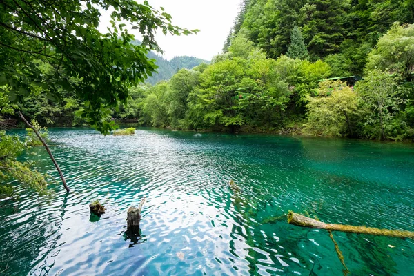 Lago Peacock, um dos maiores lago no parque nacional de Jiuzhaigou. Forma do lago, quando vista de cima, vai olhar como um pavão . — Fotografia de Stock