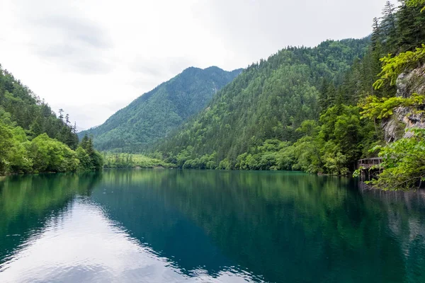 Panda göl, Jiuzhaigou güzel çok renkli doğal noktasında.