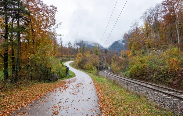Patika boyunca tren ile kimse renkli sonbahar mevsiminde