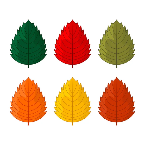 Elegant en mooi herfst bladeren en elementen. Heldere beelden voor Thanksgiving Day — Stockvector