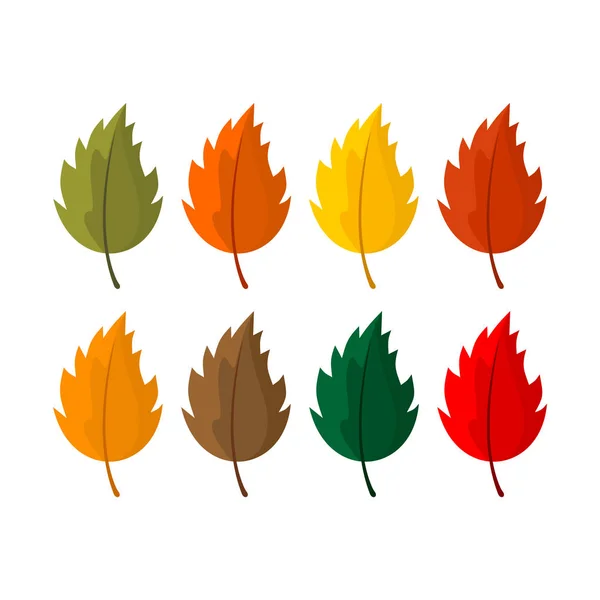 Elégantes et belles feuilles et éléments d'automne. Images lumineuses pour Thanksgiving Day — Image vectorielle