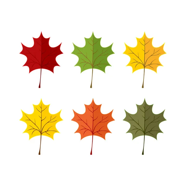 Elegant en mooi herfst bladeren en elementen. Heldere beelden voor Thanksgiving Day — Stockvector