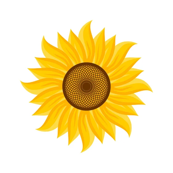 Logo i symbol słonecznika na Święto Dziękczynienia — Wektor stockowy