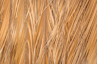 Üst üste binen hindistan cevizi yapraklarının dokusu. Kurutulmuş hindistan cevizi yapraklarının soyut arkaplanı.