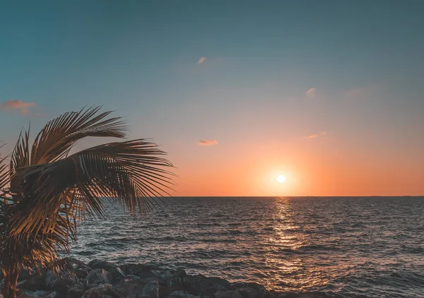 Extremadamente Hermosa Puesta Sol Sobre Mar Con Palmera Playa Piedra — Foto de Stock