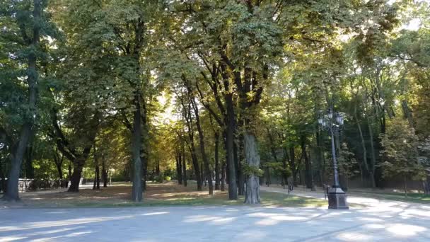 Il parco collinare Saint Volodymyr Vladimir a Kiev, Kiev, Ucraina — Video Stock