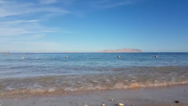 Egyiptom, Sharm El Sheikh, a Vörös-tenger Tiran-sziget — Stock videók