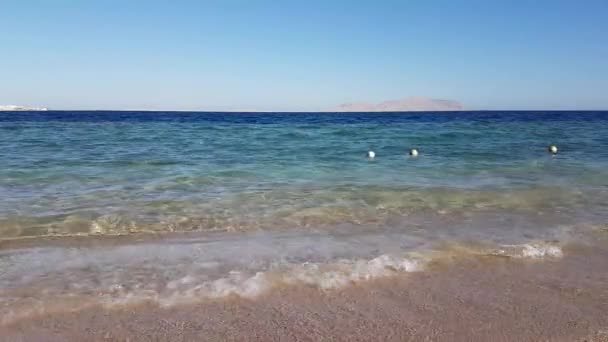 Египет, Шарм-эль-Шейх, Красное море, остров Тиран — стоковое видео