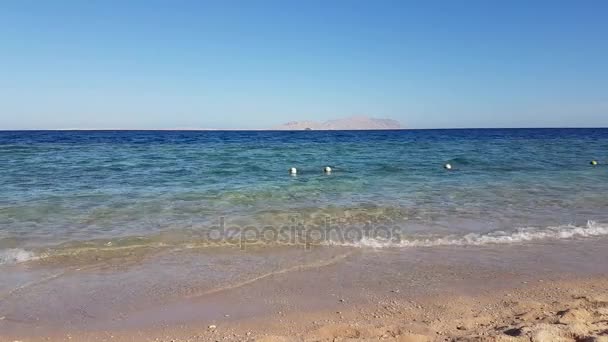 Egypten, Sharm El Sheikh, röda havet, Tiran Island — Stockvideo