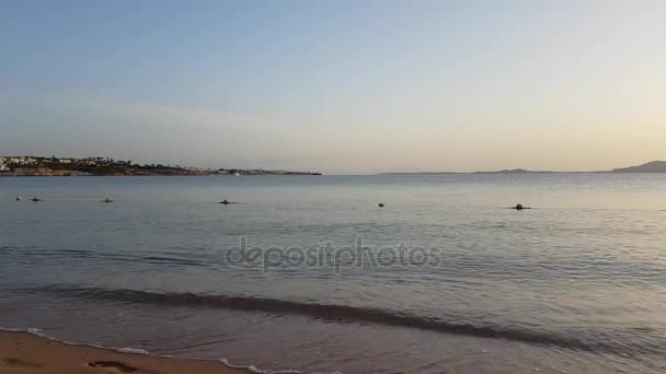 Egyiptom, Sharm El Sheikh a Vörös-tenger, Tiran Island, Sharks bay, reggel, beach, lábnyom — Stock videók