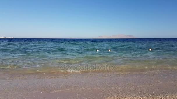 Mısır, Sharm El Sheikh, Kızıldeniz, Tiran Adası — Stok video