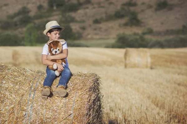 Niño abrazando oso de peluche en el campo de trigo —  Fotos de Stock