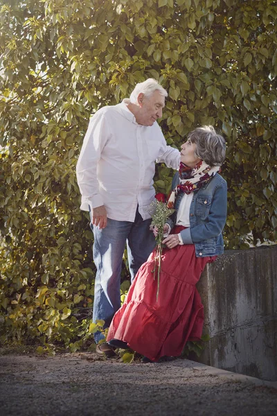 Ritratto di coppia anziana romantica — Foto Stock