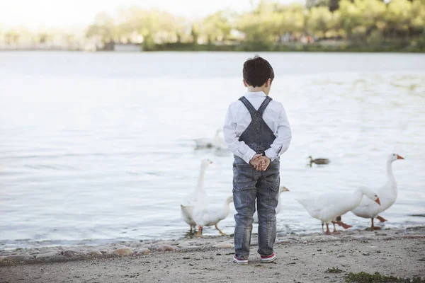 Przemyślane dziecko na jeziorze. Widok z tyłu — Zdjęcie stockowe
